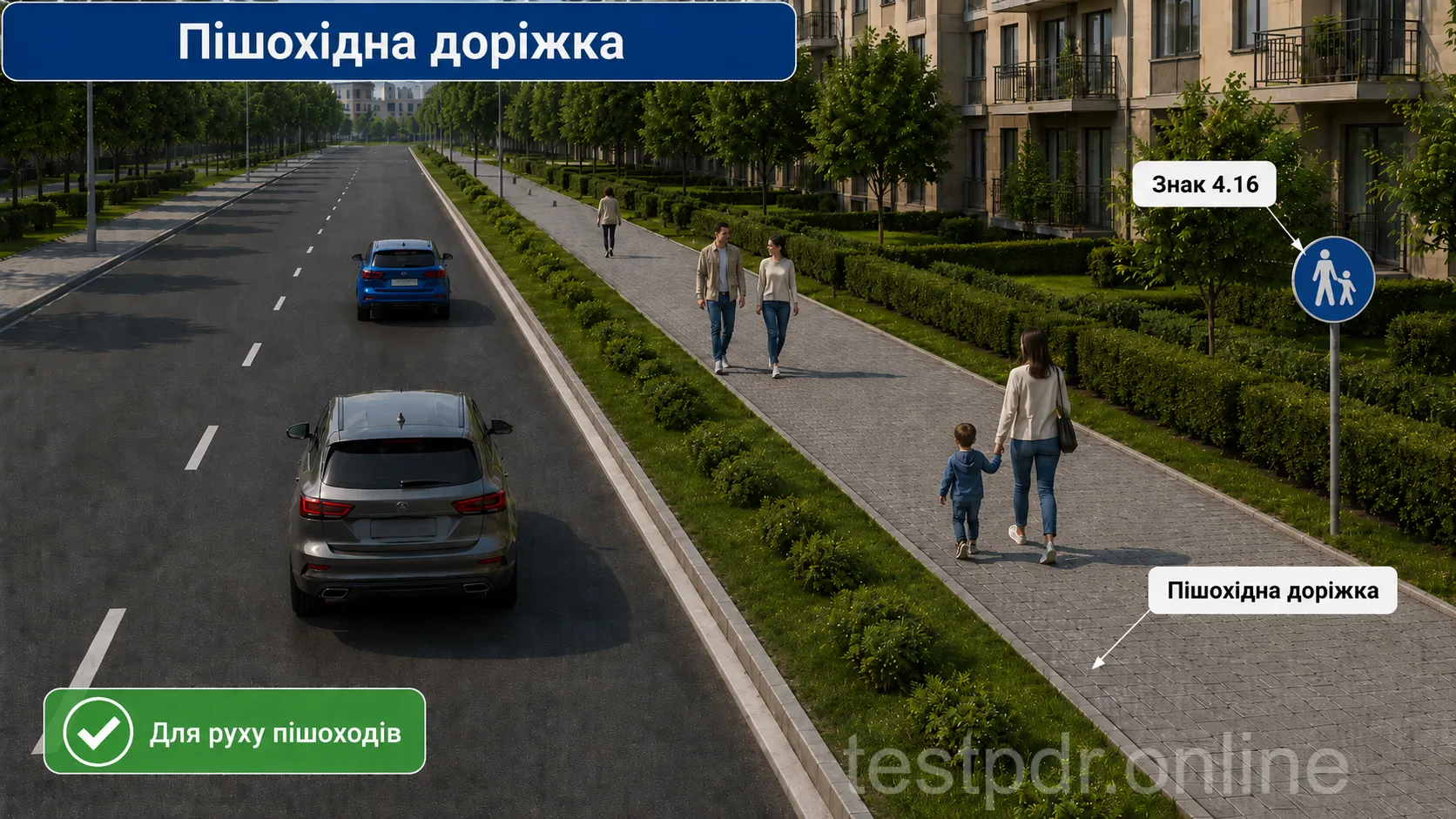 Пішохідну доріжку визначають її призначення та дорожній знак.